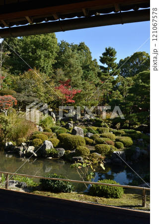秋の等持院　書院から見る庭園「芙蓉池」 121067578