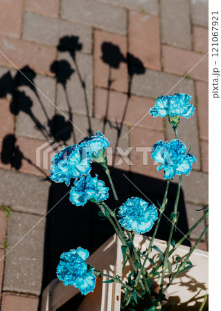A vibrant bunch of blue flowers is beautifully sitting on a brick sidewalk A vibrant bunch of blue flowers is beautifully sitting on a brick sidewalk 121067921