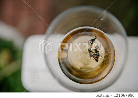 A small bee is perched delicately on the rim of a glass filled with honey A small bee is perched delicately on the rim of a glass filled with honey 121067980