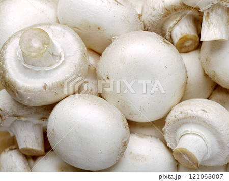 Champignons 121068007