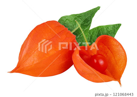 Cape gooseberry, physalis isolated on white background with full depth of field 121068443