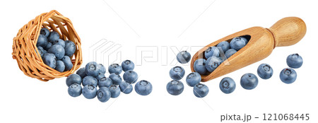 blueberry in wicker basket and wooden scoop isolated on white background blueberry in wicker basket and wooden scoop isolated on white background 121068445
