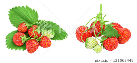 Strawberry isolated on white background. Fresh berry with  full depth of field. Top view. Flat lay 121068449