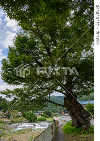 清らかな流れの名もない小さな滝 121068560