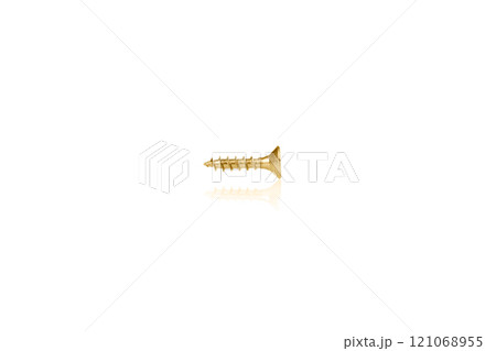 macro screw of golden color on a white background macro screw of golden color on a white background 121068955