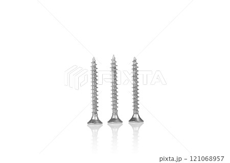 macro screw of silver color on a white background macro screw of silver color on a white background 121068957