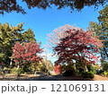 紅葉した木々 121069131