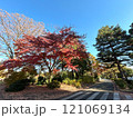 紅葉した木々 121069134