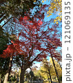 紅葉した木々 121069135