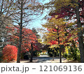 紅葉した木々 121069136