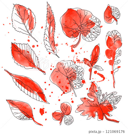 Drawing of autumn leaves with raw aquarelle technique. Set hand drawn Drawing of autumn leaves with raw aquarelle technique. Set hand drawn 121069176