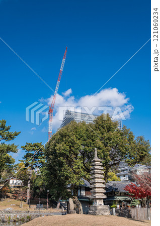 保存修理工事中の興福寺五重塔　猿沢池からの景観　奈良市 121069234