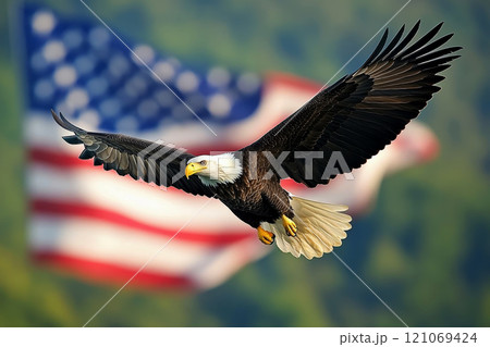 american bald eagle with usa flag on background 121069424