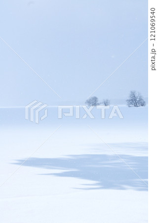 雪景色　大沼 121069540