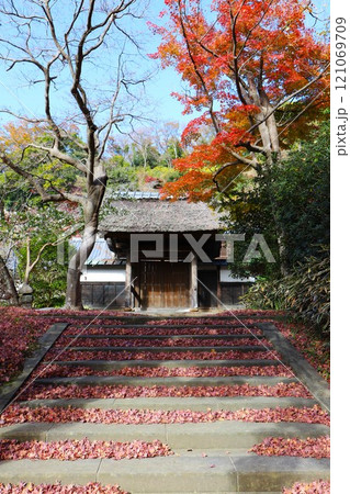 秋、紅葉の円覚寺 居士林 121069709