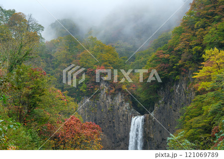 苗名滝の紅葉 121069789