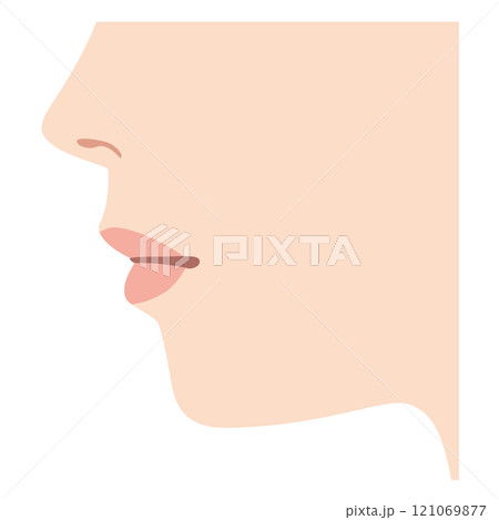 理想的なEライン 横顔 理想的なEライン 横顔 121069877
