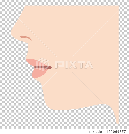理想的なEライン 横顔 理想的なEライン 横顔 121069877