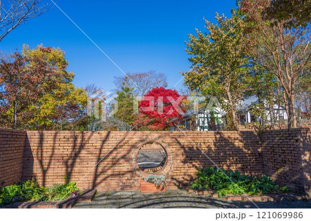 青空バックに見る真っ赤なモミジの紅葉とレンガ塀のコラボ情景 青空バックに見る真っ赤なモミジの紅葉とレンガ塀のコラボ情景 121069986