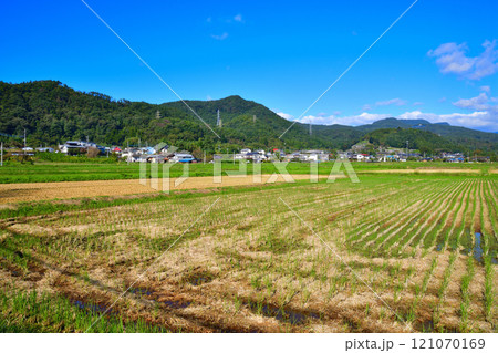 田園の初秋風景 奥利根ゆけむり街道 みなかみ町 田園の初秋風景 奥利根ゆけむり街道 みなかみ町 121070169