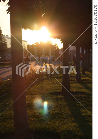 A beautiful sunset glow can be seen behind the silhouette of trees in an urban setting 121070170