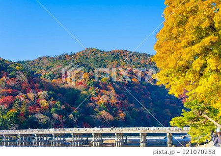 京都・嵐山の紅葉 渡月橋 京都・嵐山の紅葉 渡月橋 121070288