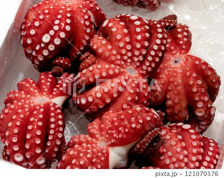 市場に並んだ茹でダコ 121070376