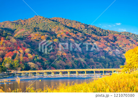 京都・嵐山の紅葉　渡月橋 121070380
