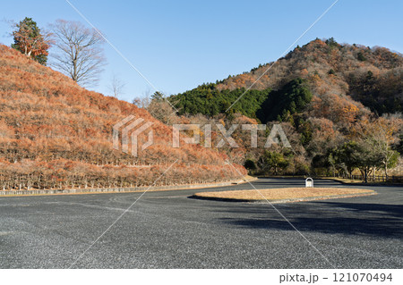 宮ヶ瀬湖 鳥居原園地の秋景 ※駐車場から下がった広場です 神奈川県相模原市緑区 宮ヶ瀬湖 鳥居原園地の秋景 ※駐車場から下がった広場です 神奈川県相模原市緑区 121070494