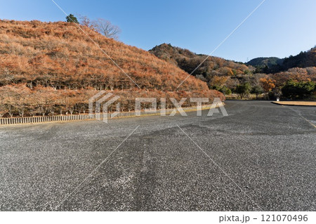 宮ヶ瀬湖 鳥居原園地の秋景 ※駐車場から下がった広場です 神奈川県相模原市緑区 宮ヶ瀬湖 鳥居原園地の秋景 ※駐車場から下がった広場です 神奈川県相模原市緑区 121070496