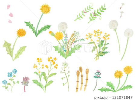 水彩絵の具で描いた春の野原のお花セット 水彩絵の具で描いた春の野原のお花セット 121071847