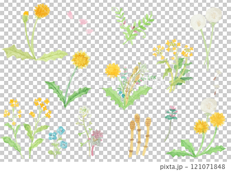 水彩絵の具で描いた春の野原のお花のセット 水彩絵の具で描いた春の野原のお花のセット 121071848