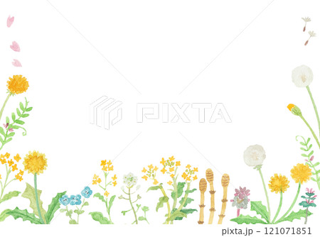 水彩絵の具で描いた春の野原のお花のフレーム 121071851