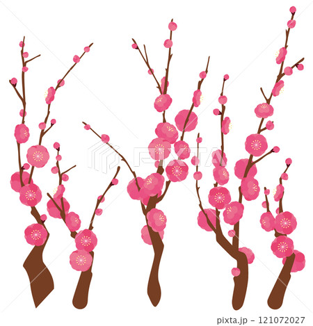 梅の花のベクターイラストセット 121072027