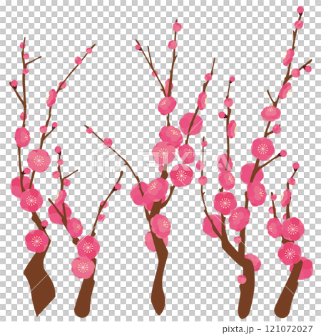 梅の花のベクターイラストセット 121072027