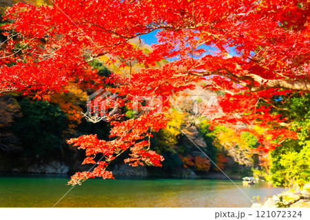 京都・嵐山の紅葉 121072324