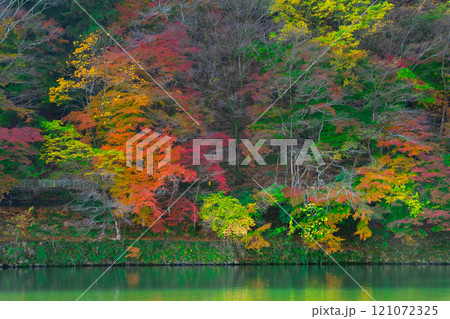 京都・嵐山の紅葉 121072325