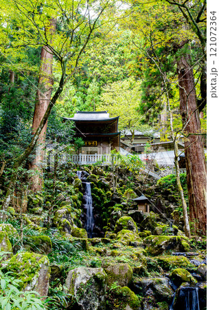 《最乗寺》洗心の滝のある風景（神奈川県南足柄市） 121072364