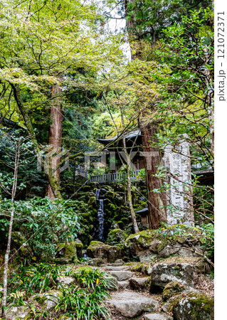 《最乗寺》洗心の滝のある風景（神奈川県南足柄市）          121072371