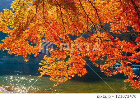 京都・嵐山の紅葉 京都・嵐山の紅葉 121072470