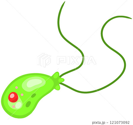 フォーラーネグレリア フォーラーネグレリア 121073092