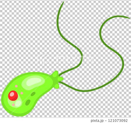 フォーラーネグレリア フォーラーネグレリア 121073092