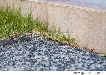 タイルとコンクリートの間から芝生が生えている 121073093