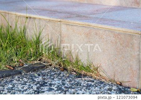タイルとコンクリートの間から芝生が生えている 121073094