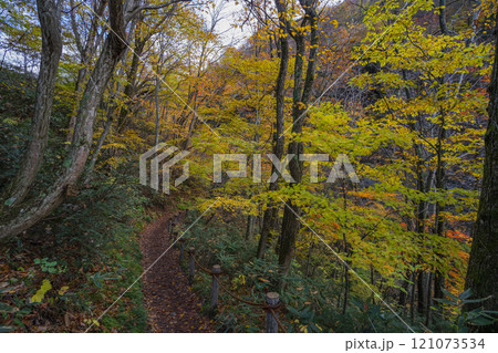 長野県上高井郡高山村牧 雷滝の紅葉 長野県上高井郡高山村牧 雷滝の紅葉 121073534