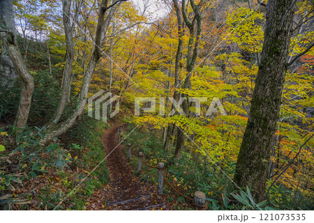 長野県上高井郡高山村牧　雷滝の紅葉 121073535