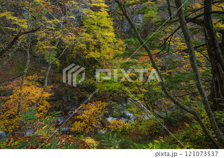 長野県上高井郡高山村牧 雷滝の紅葉 長野県上高井郡高山村牧 雷滝の紅葉 121073537