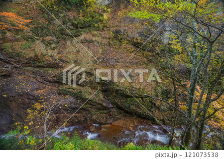 長野県上高井郡高山村牧　雷滝の紅葉 121073538