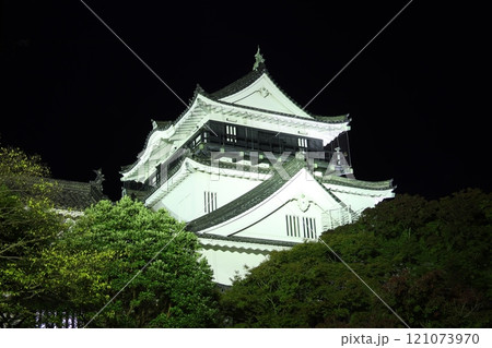 夜の岡崎城（愛知県岡崎市） 121073970