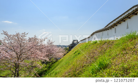 桜咲く掛川城土塀と太鼓櫓 121075207